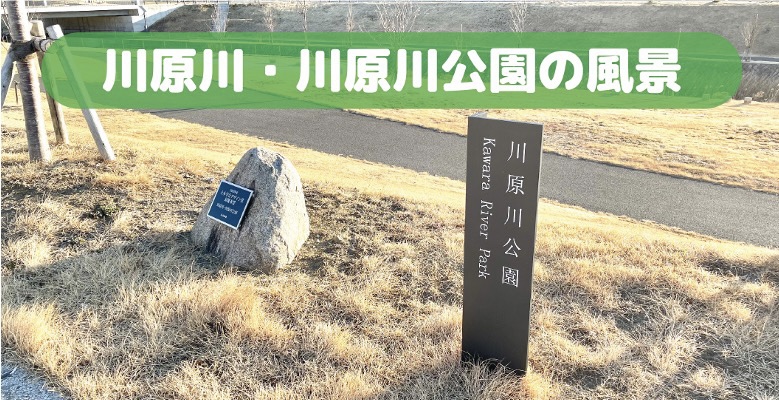 川原川・川原川公園の風景