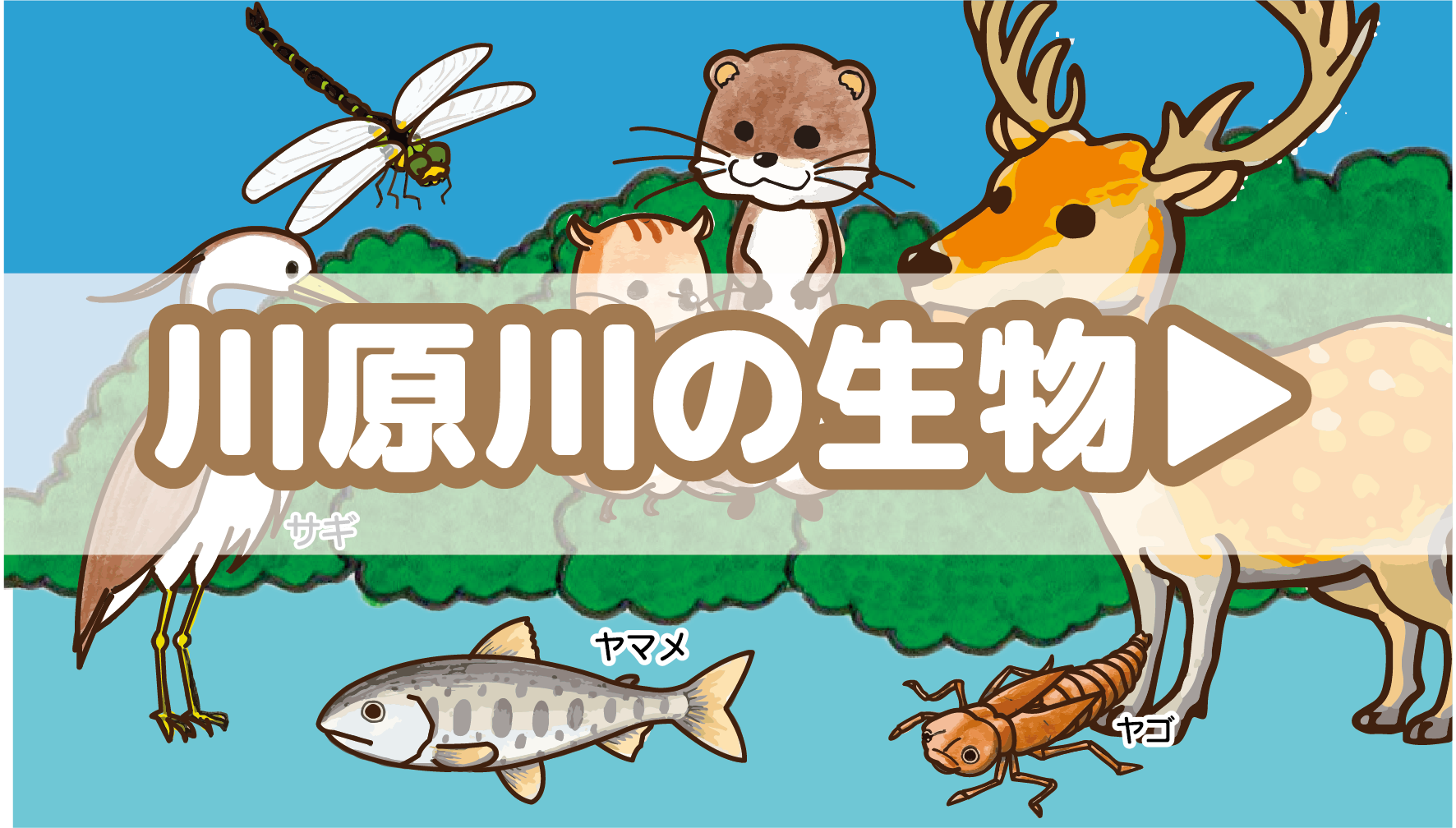 川原川の生物